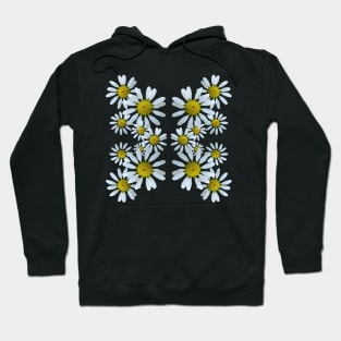 White Daisies Flower Daisy Floral Pattern blooms blooming Hoodie